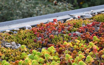 the cost of Shoreditch green roof installation