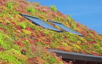 Shoreditch living roof systems
