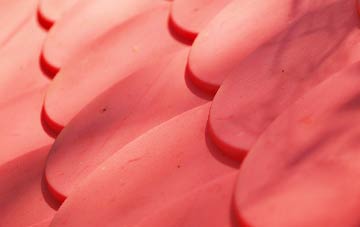 Shoreditch plastic roof costs